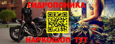 бошки Новодвинск