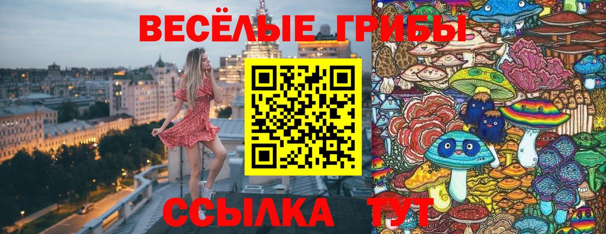 Псилоцибиновые грибы GOLDEN TEACHER Тимашёвск