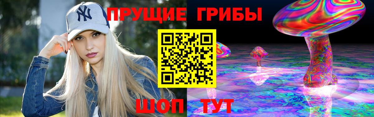 Галлюциногенные грибы ЛСД  Галлюциногенные грибы Psilocybine cubensis  купить наркотики цена  Вход с VPN  Тимашёвск 